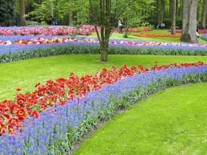 Fleurs keukenhof