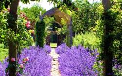 Voyage jardin les costwolds sezincote